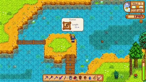 stardew valley pez sol.